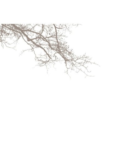 Papier peint panoramique abstract branch 255 x 250