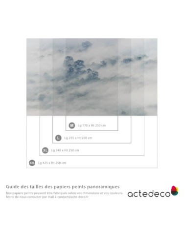 Papier peint panoramique brumes matinales 01 170 x 250