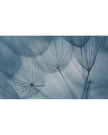 Papier peint panoramique dandelion 340 x 250