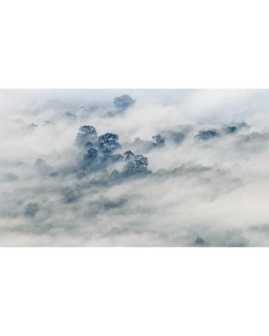 Papier peint panoramique brumes matinales 01 340 x 250