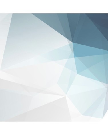 Papier peint panoramique geometric 04 170 x 250