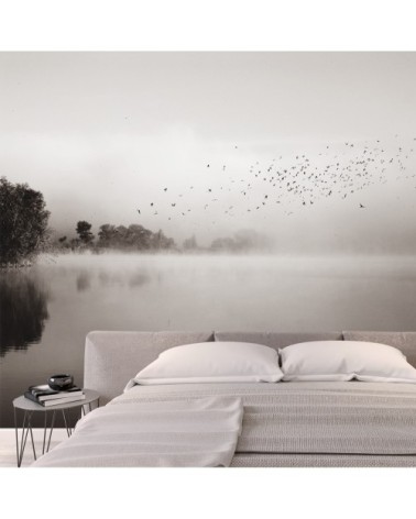 Papier peint panoramique brumes matinales 06 340 x 250