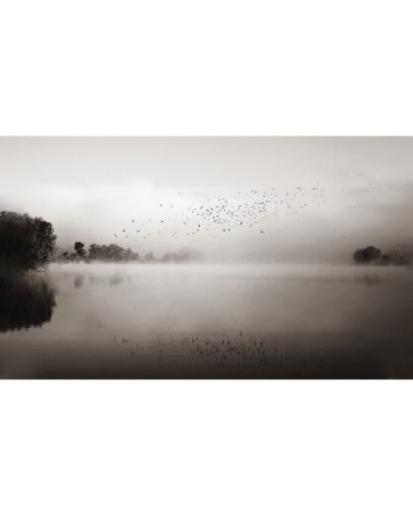 Papier peint panoramique brumes matinales 06 255 x 250