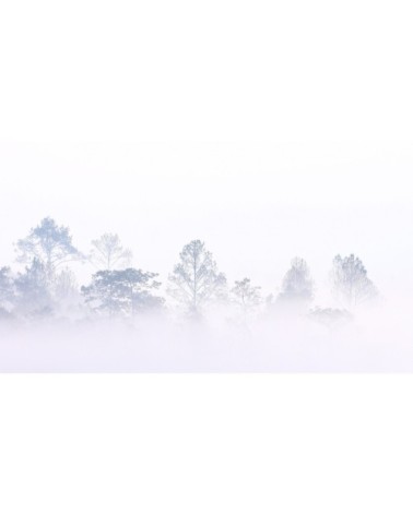 Papier peint panoramique brumes matinales 08 425 x 250