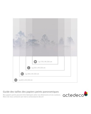 Papier peint panoramique brumes matinales 08 425 x 250