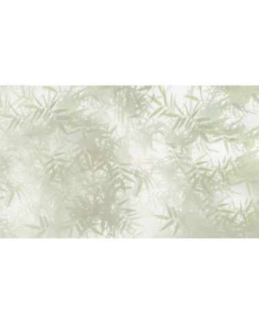 Papier peint panoramique ombres bambous 255 x 250  vert