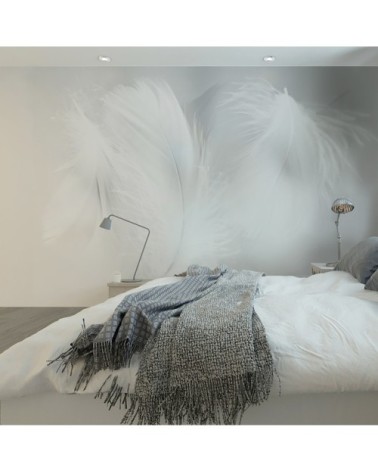 Papier peint panoramique plumes 2 255 x 250