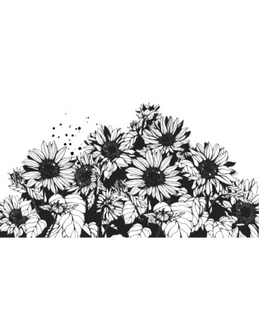 Papier peint panoramique tournesol 255 x 250  noir