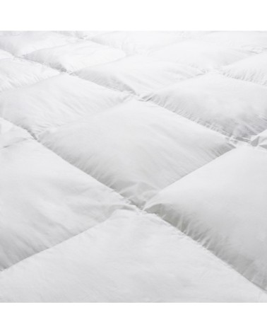 Couette Gold - TEMPEREE 220x240 cm - Drouault