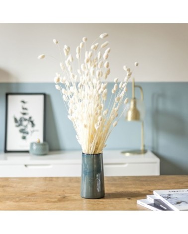 Botte de fleurs séchées Phalaris blanc 150g