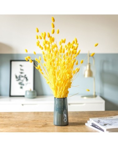 Botte de fleurs séchées Phalaris jaune