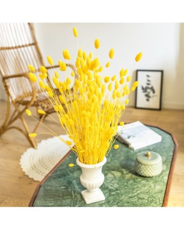 Botte de fleurs séchées Phalaris jaune
