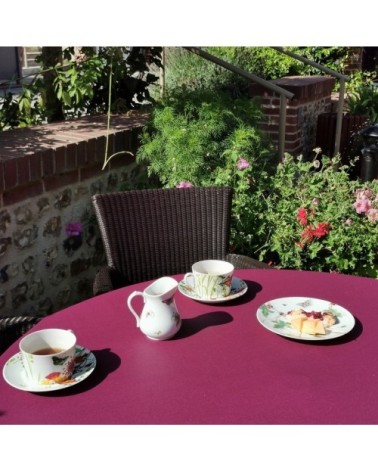 Nappe enduite rectangle 160 x 300 cm violet