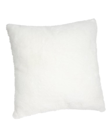 Housse de coussin Arctique