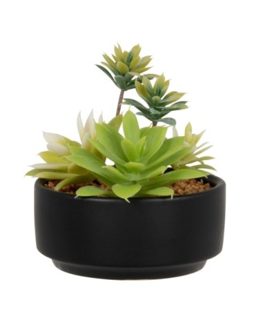 Succulente artificielle verte et pot en grès noir