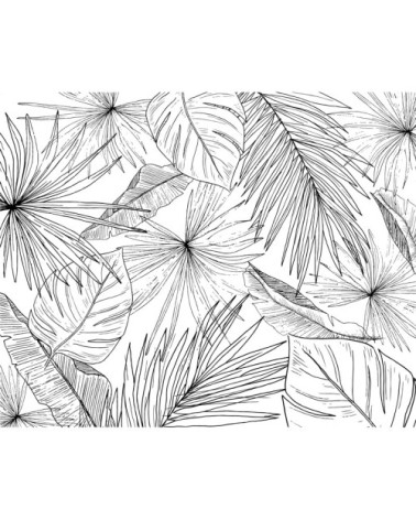 Papier Peint Panoramique L336xH270cm Noir