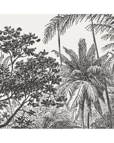 Papier Peint Panoramique L240xH270cm Noir