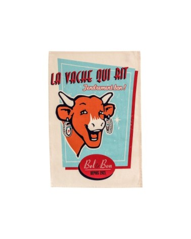 Lot de 2 torchons multicolore en coton 50x75