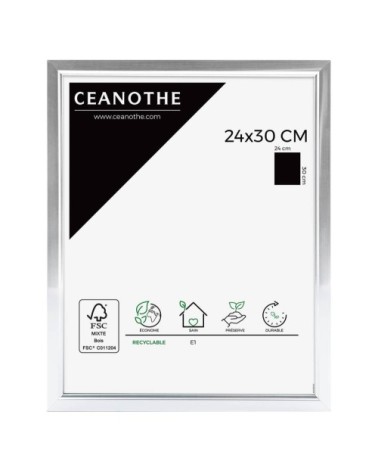 Cadre photo aluminium résine plastique 24x30