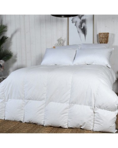 Couette naturelle CHAUDE 70% duvet 200x200 cm