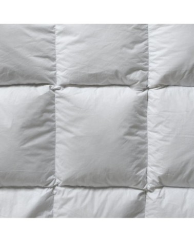 Couette naturelle  tempérée  90% duvet 220gr/  260x240 cm