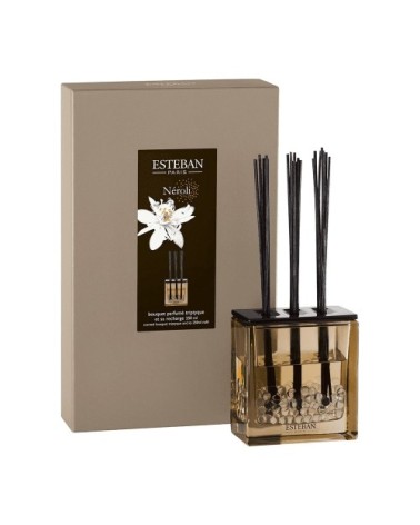 Bouquet parfumé triptyque 250ml