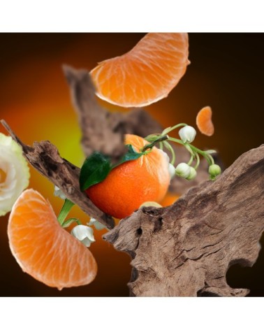 Parfum Lampe Berger Santal Envoûtant 500 ml