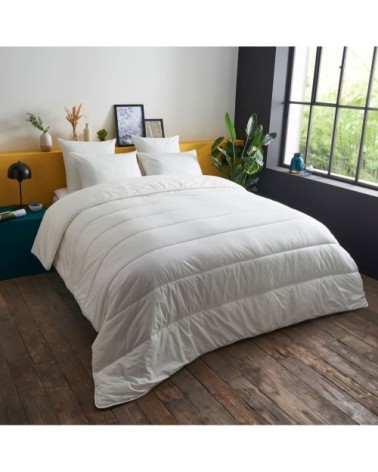 Couette CHAUDE Extra-Douce - Coton Bio  240x260 cm - Wake Me Green