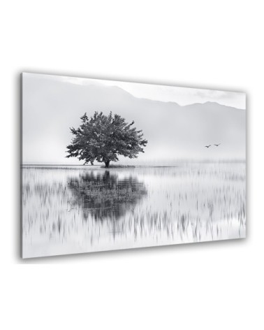 Tableau plexiglas nature reflets d'eau 50x30cm