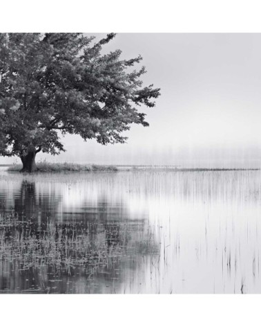 Tableau plexiglas nature reflets d'eau 50x30cm