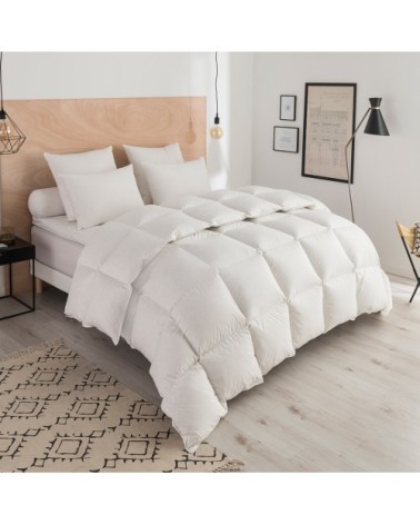 Couette Thermoduv CHAUDE - 90% Duvet d'Oie 200x200 cm - DODO