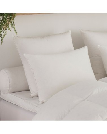 Oreiller Micro Green Toucher Duvet MOELLEUX 60x60 cm - DODO