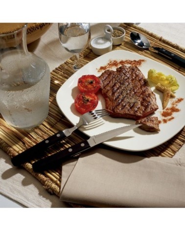 Coffret 6 couteaux steak en Acier Inoxydable + POM Noir
