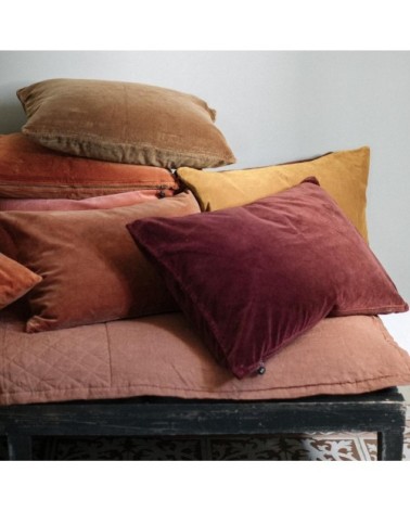 Lavage de velours Burdeaux 40x60