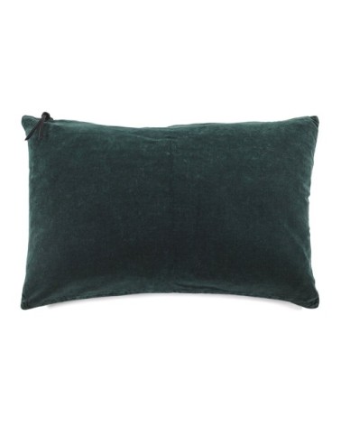 COUSSIN - Lavage de velours Vert Anglais 40x60