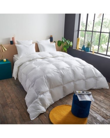 Couette CHAUDE Sensation Duvet - Coton  200x200 cm - Wake Me Green