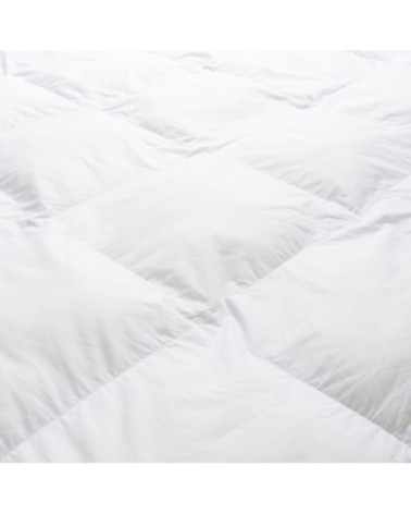 Couette TEMPEREE Préserve les océans - Coton  140x200 cm - Wake Me Gre