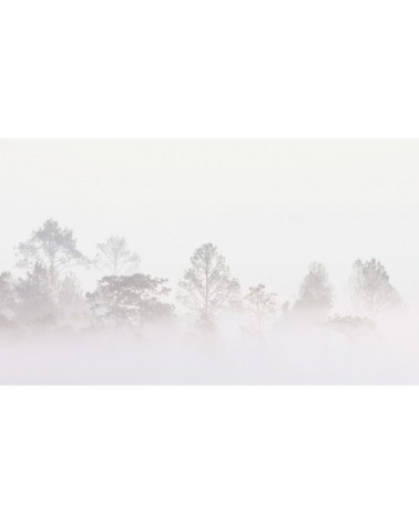 Papier peint panoramique quiet landscape 03 255 x 250