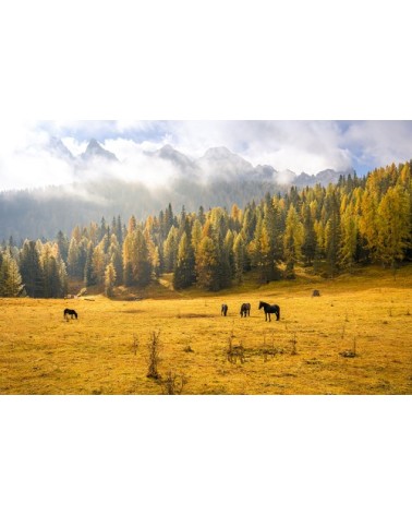 Photographie d'art d'Hugo Grandcolas 30x45 cm sur alu