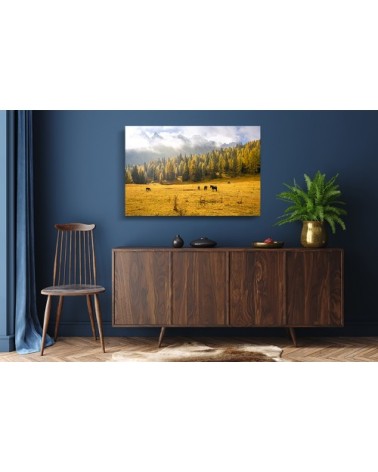 Photographie d'art d'Hugo Grandcolas 30x45 cm sur alu