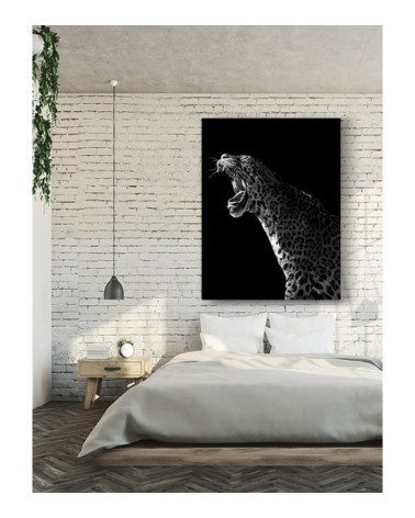 Photographie d'art de Guillaume Mordacq  45x60 cm sur plexi