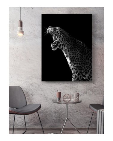 Photographie d'art de Guillaume Mordacq  45x60 cm sur plexi