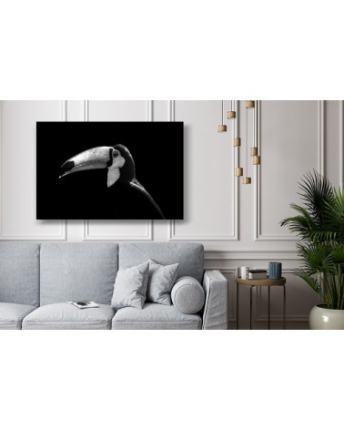 Photographie d'art de Guillaume Mordacq  60x90 cm sur alu