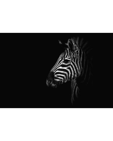 Photographie d'art de Guillaume Mordacq 30x45 cm sur alu