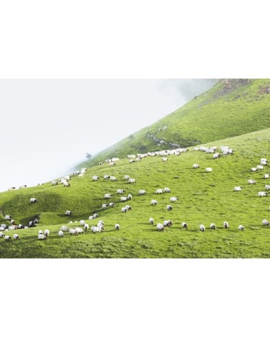 Photographie d'art d'Hugo Grandcolas 60x90 cm sur plexi