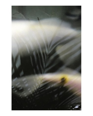 Photographie d'art de Zoé Pignolet 40x60 cm sur plexi