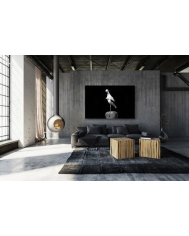 Photographie d'art de Guillaume Mordacq 30x45 cm sur alu