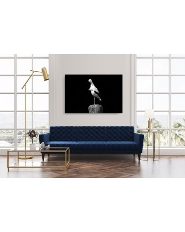 Photographie d'art de Guillaume Mordacq 30x45 cm sur alu