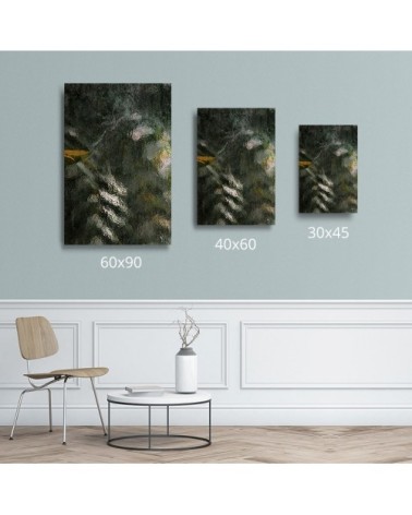 Photographie d'art de Zoé Pignolet 30x45 cm sur plexi