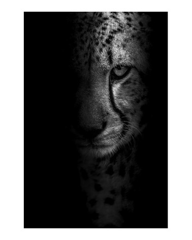 Photographie d'art de Guillaume Mordacq  60x90 cm sur alu